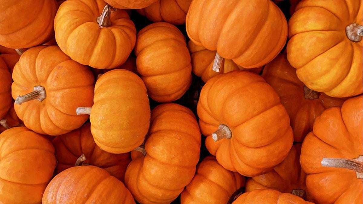 Pumpkin Spice: ¿por qué cada otoño volvemos a querer el mismo sabor?
