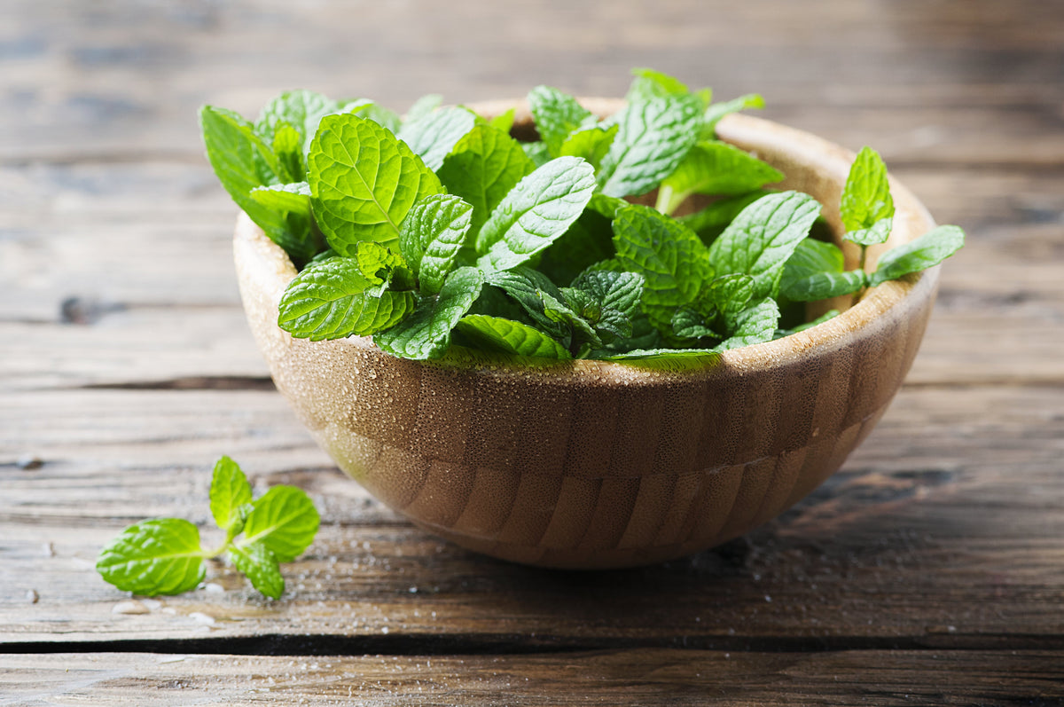 Menta: 5 usos en la cocina